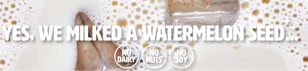 MILKish watermelon seed milk with no dairy, no nuts, and no soy